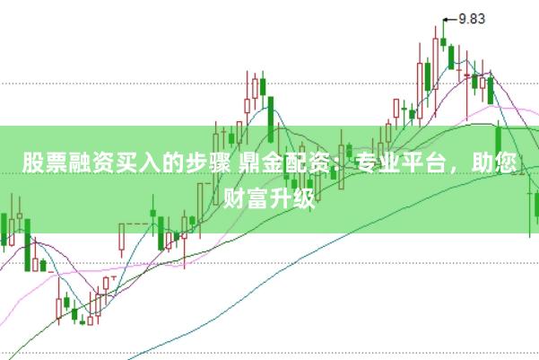 股票融资买入的步骤 鼎金配资：专业平台，助您财富升级