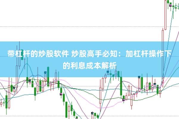 带杠杆的炒股软件 炒股高手必知：加杠杆操作下的利息成本解析