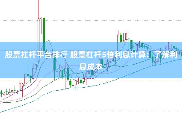 股票杠杆平台排行 股票杠杆5倍利息计算：了解利息成本