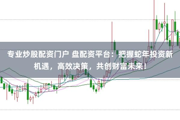 专业炒股配资门户 盘配资平台：把握蛇年投资新机遇，高效决策，共创财富未来！