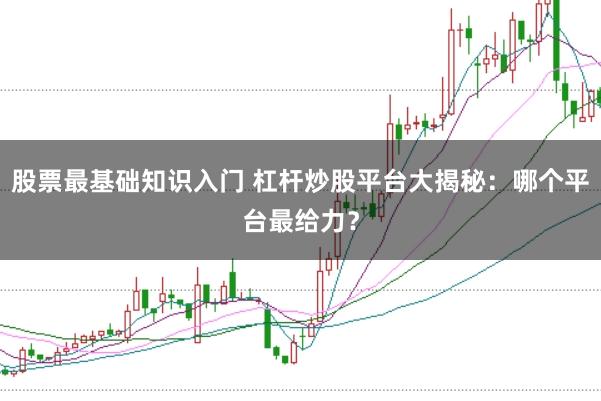 股票最基础知识入门 杠杆炒股平台大揭秘：哪个平台最给力？
