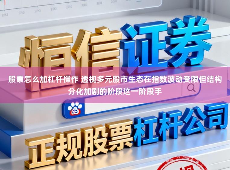 股票怎么加杠杆操作 透视多元股市生态在指数波动受限但结构分化加剧的阶段这一阶段手